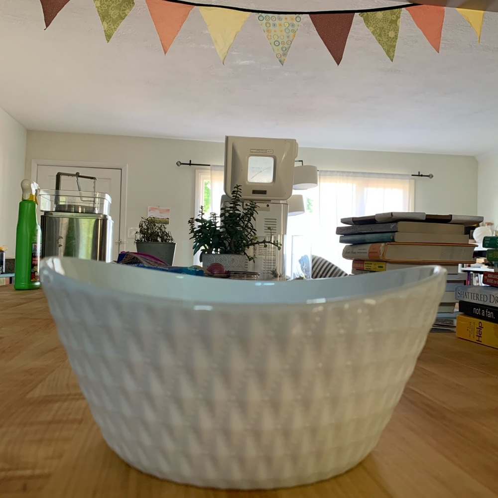 White porcelain bowl - what a dish!